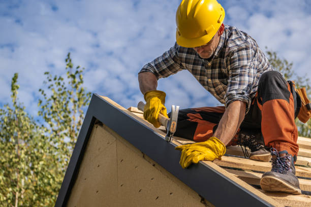 Best Roof Installation  in Carnesville, GA